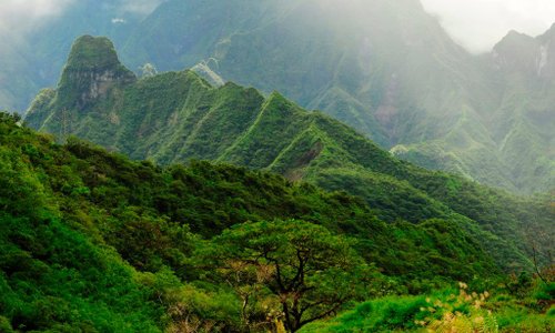 Mountain Trekking in Tahiti