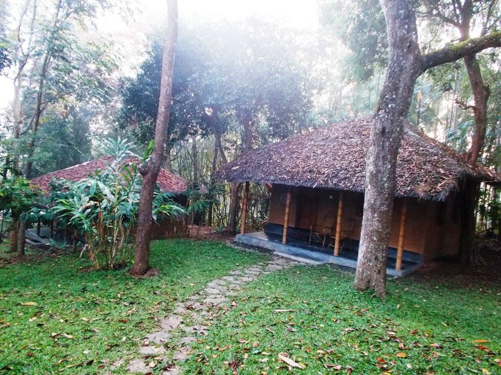 WAYANAD BLOOMS (Kenichira) - Hotel Reviews & Photos - Tripadvisor