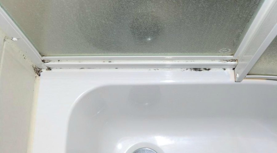 Die Duschtasse hinter der Tür