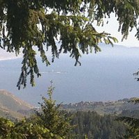 Dipsea