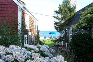 Masthead Resort in Provincetown, image may contain: Neighborhood, Garden, Nature, Backyard