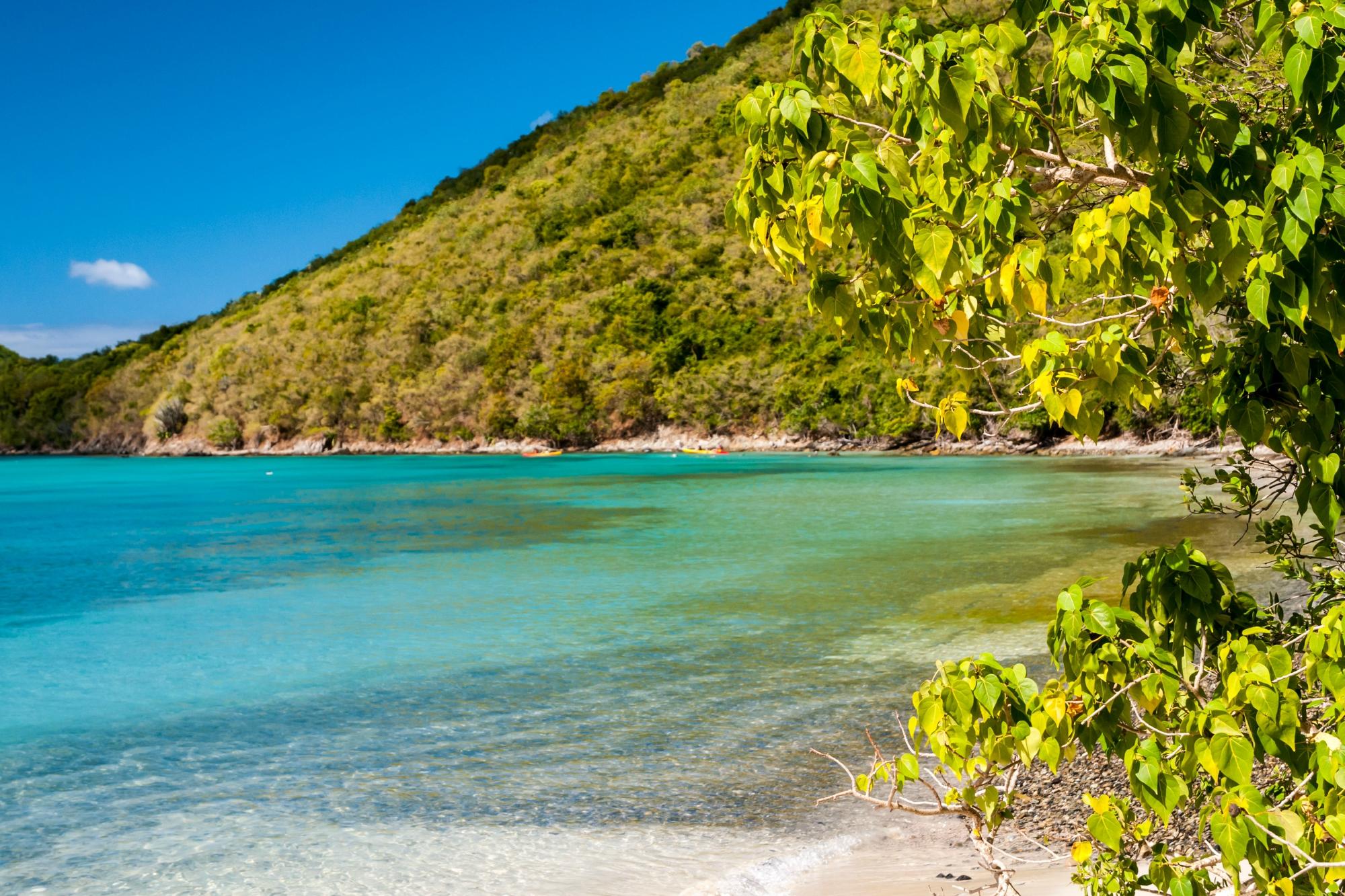 Francis Bay Beach St. John USVI: A Tropical Paradise Awaits