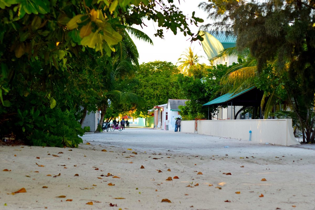 Наш 12-й идеальный раз на Мальдивах!! - отзыв о JOALI Maldives, Muravandhoo  - Tripadvisor