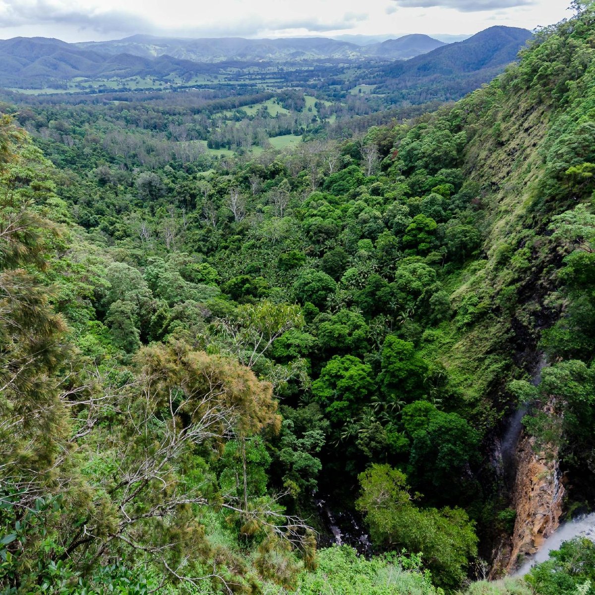 MAPLETON FALLS NATIONAL PARK 2023 What to Know BEFORE You Go