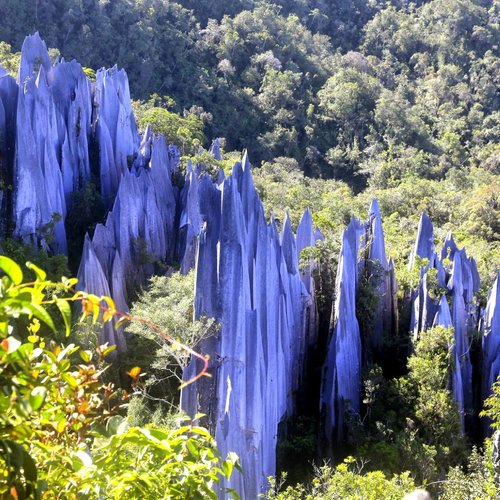 Malaysia's scenic trails for hiking - Overview of Hiking Trails in Malaysia