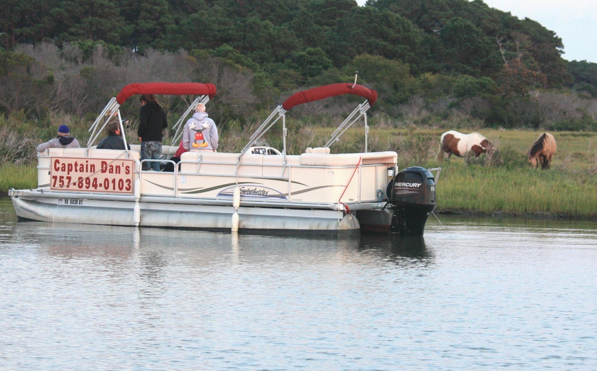 Captain Dan's Around the Island Tours (Chincoteague Island) All You