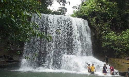 spot wisata yg ada di tangkahan
