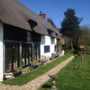 Meadow Thatch