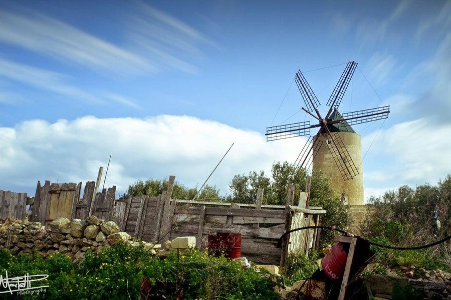 Qala Windmill (Ta ' Randu Windmill) image
