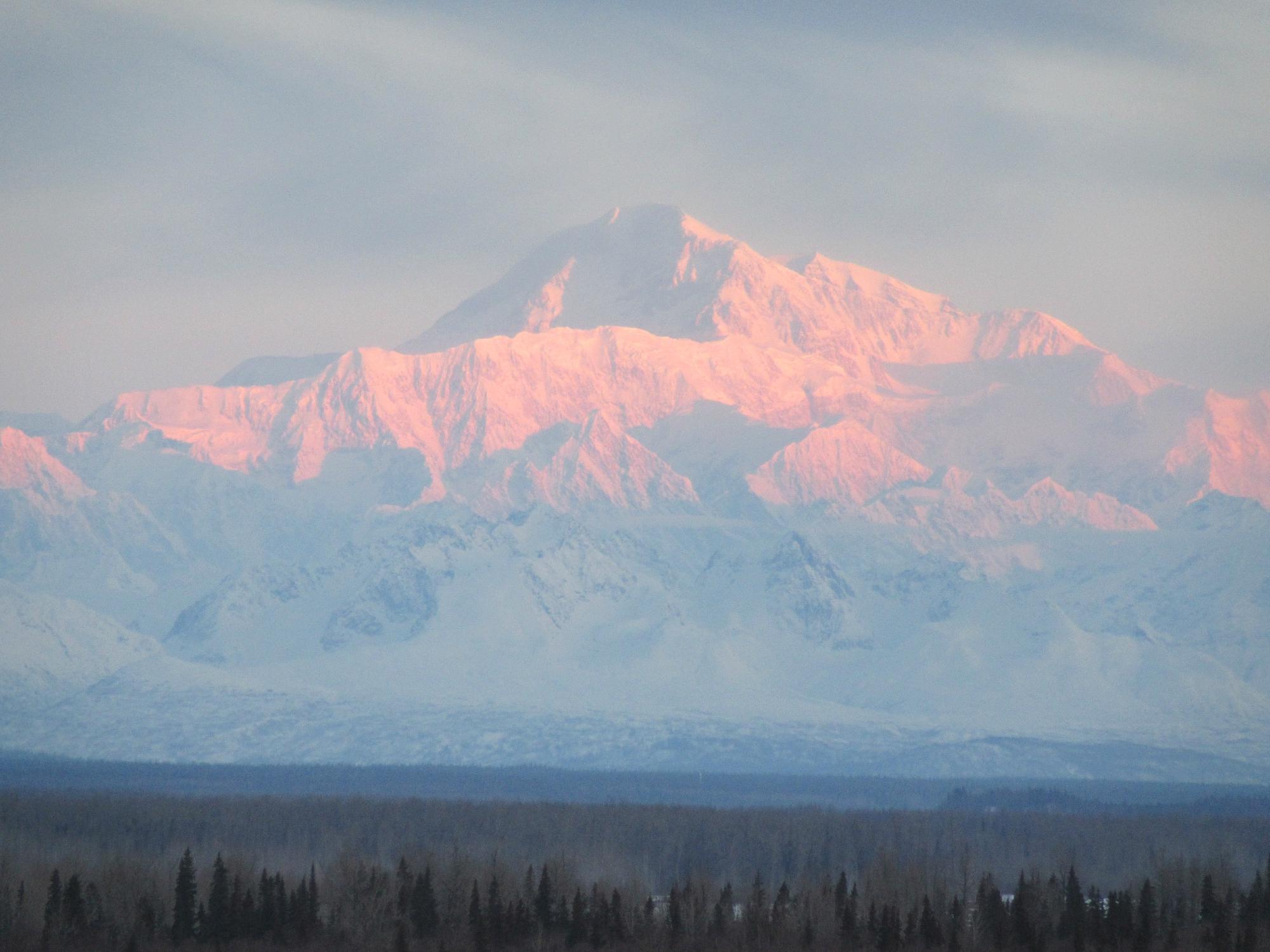 DENALI OVERLOOK INN (Talkeetna, Alaska): Opiniones Y Precios