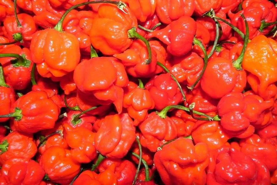 Volcanic Peppers image