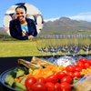Stellekayawines