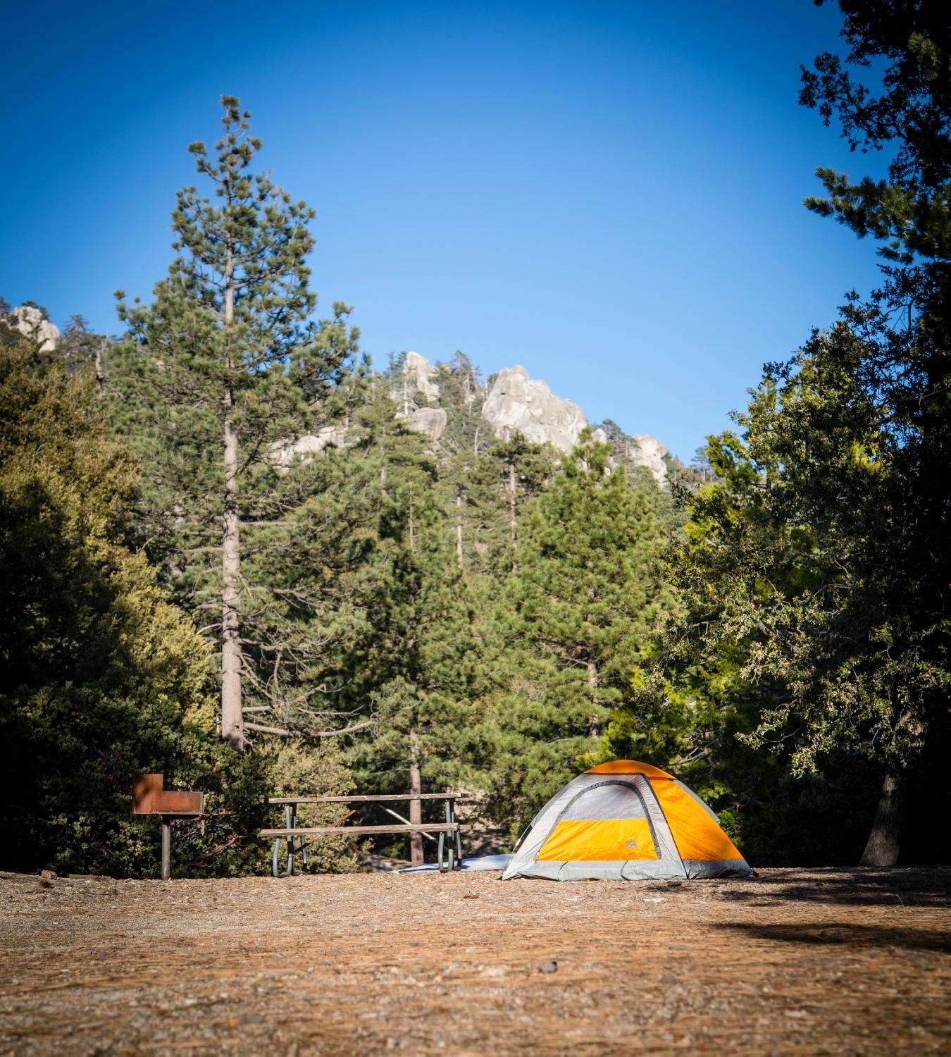 Hotel photo 12 of Idyllwild RV Resort.