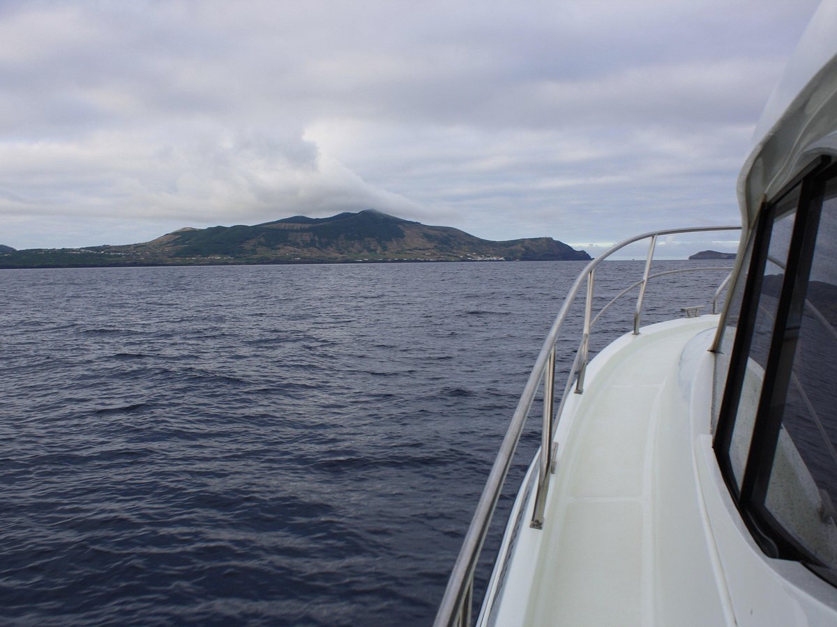 Loja Náutica – Foto de Calypso Azores - Yacht Charter, Graciosa -  Tripadvisor