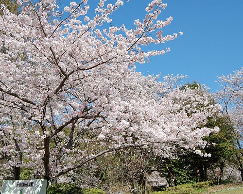 21年 玉名市で絶対外さないおすすめ観光スポットトップ10 定番から穴場まで トリップアドバイザー 21年 玉名市で絶対外さないおすすめ観光スポットトップ10 定番から穴場まで トリップアドバイザー