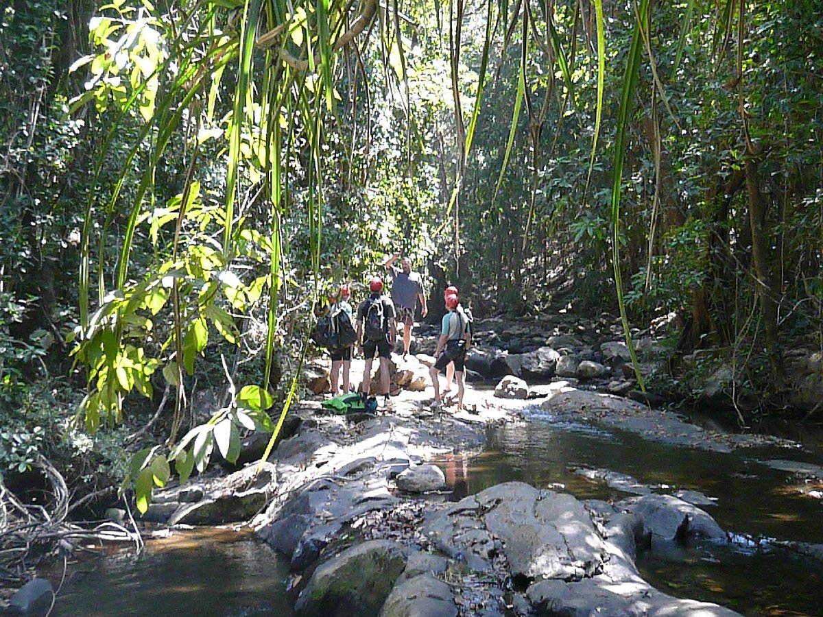 Goa Jungle Adventure (Palolem) - All You Need to Know BEFORE You Go