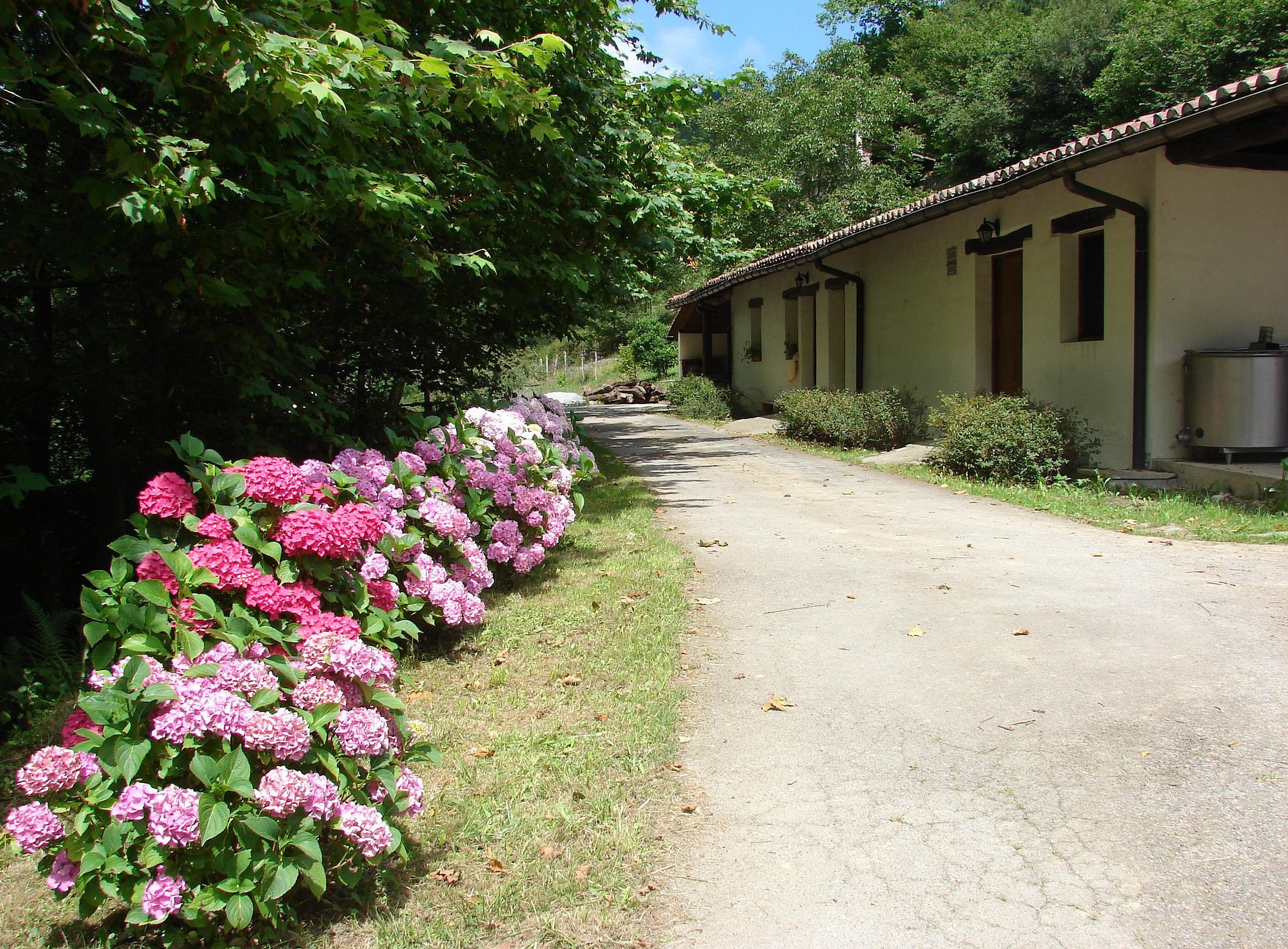 Casa Rural Goikola image