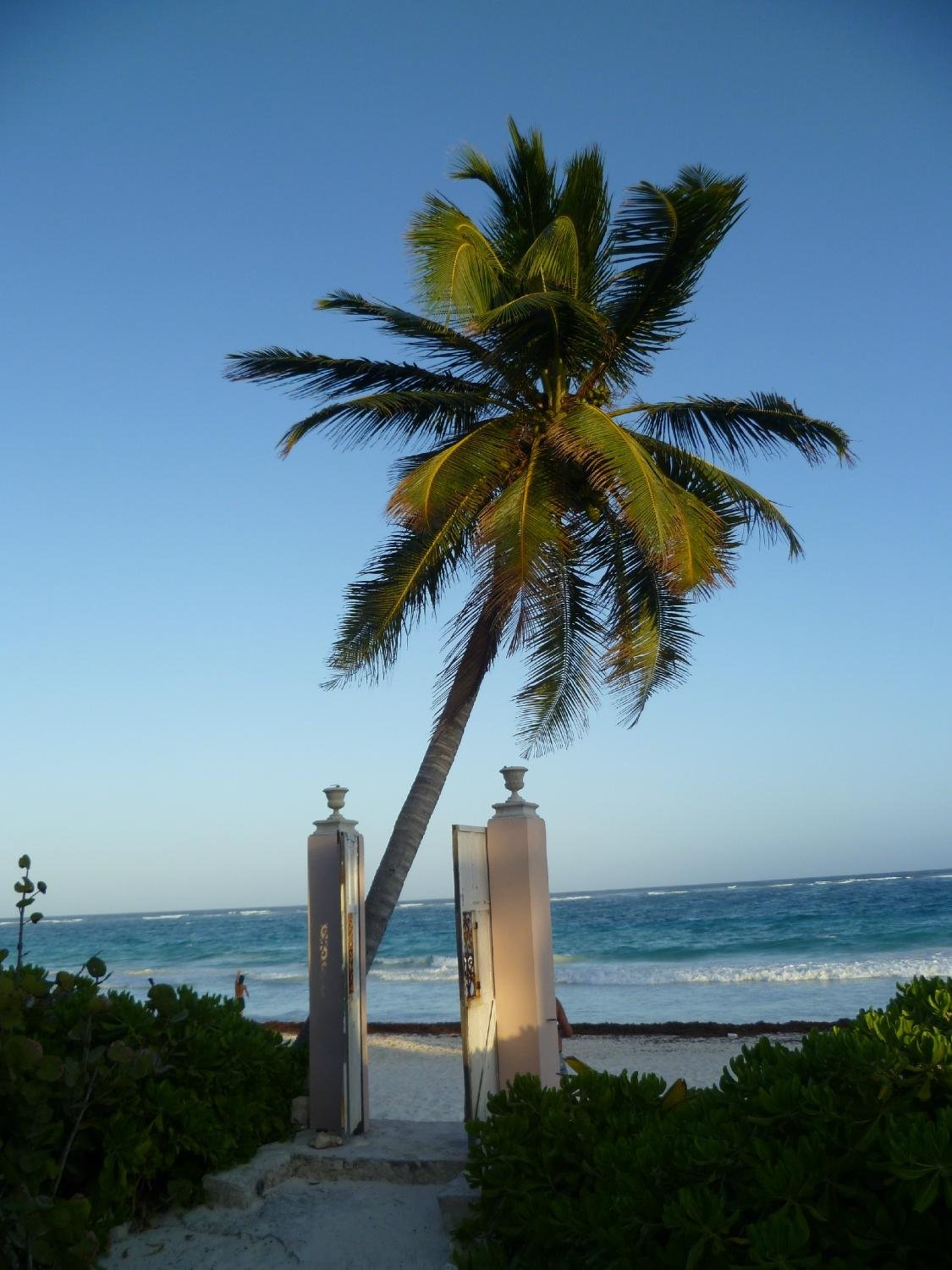 Playa esperanza beach club tulum rentalcars tulum