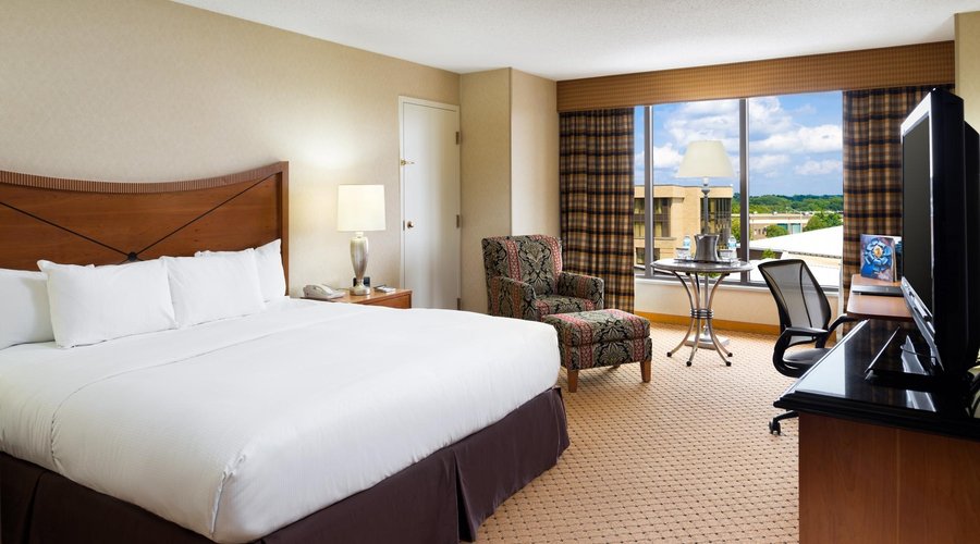 King Guestroom