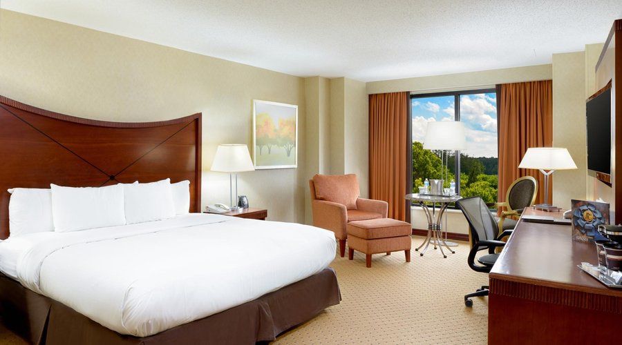 Guestroom King Bed