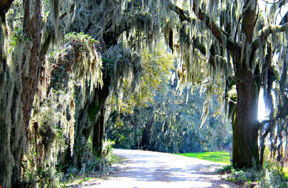 savannah wildlife refuge tour