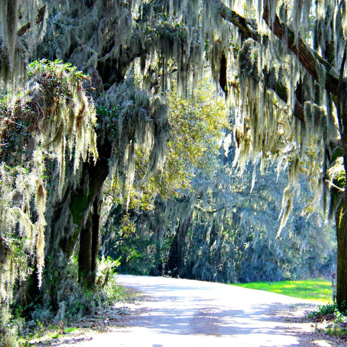 Savannah National Wildlife Refuge - All You Need to Know BEFORE You Go ...