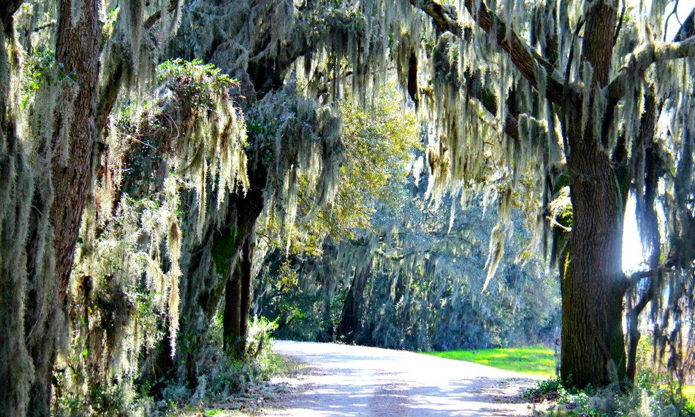 Hardeeville 2021: Best of Hardeeville, SC Tourism - Tripadvisor