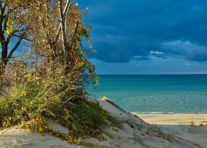 are dogs allowed at indiana dunes