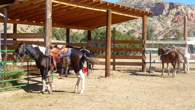 Ghost Ranch - O'Keeffe Landscape Tour - All You Need to Know