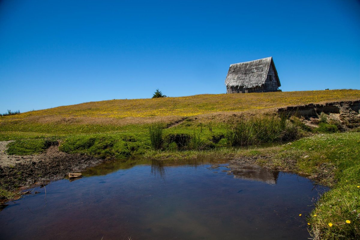 Monte Verde (Puerto Montt) All You Need to Know BEFORE You Go