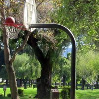 rengstorff park pool