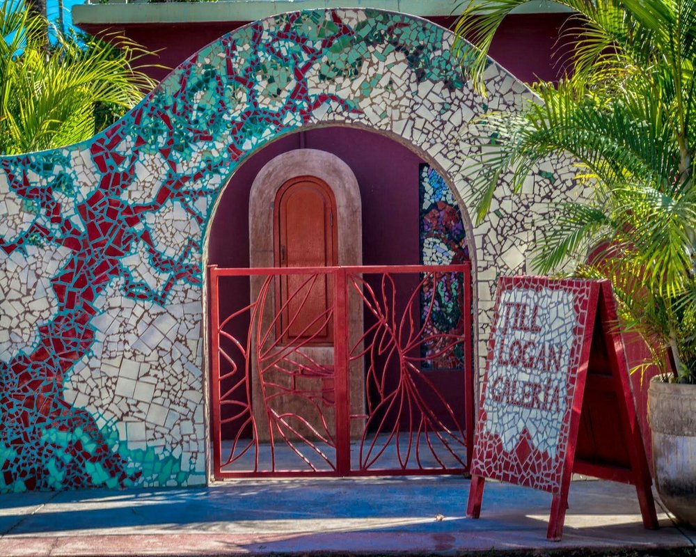 THE 15 BEST Things to Do in Todos Santos (2024)