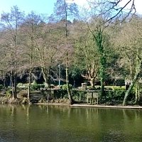 View across the River Derwent to the Gardens