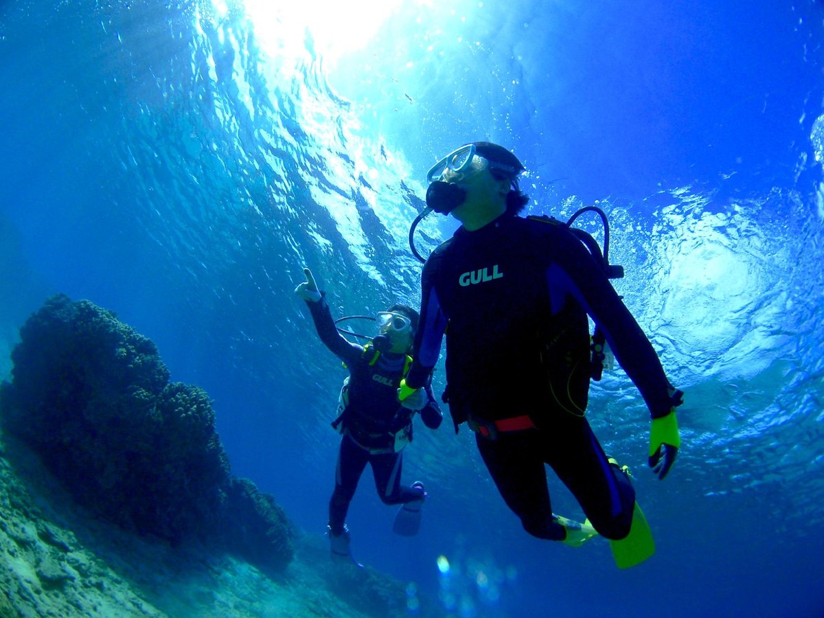 DIVE CENTER ISLES OKINAWA (2025) - All You MUST Know Before You Go ...