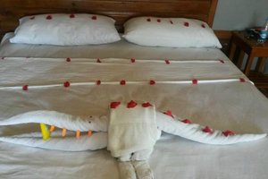 Room & Suite