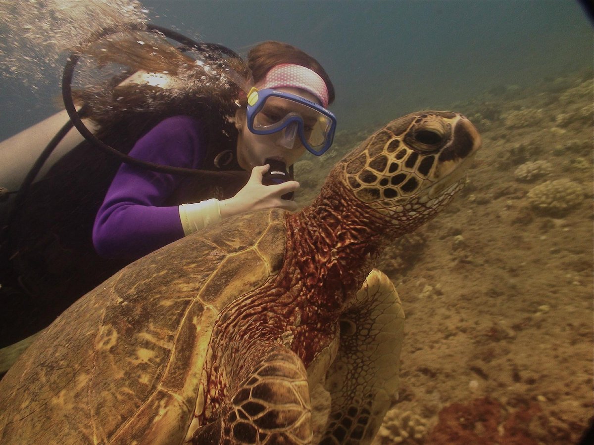 MASCARA BUCEO TURTLE