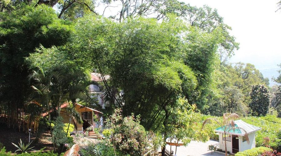 getlstd_property_photo