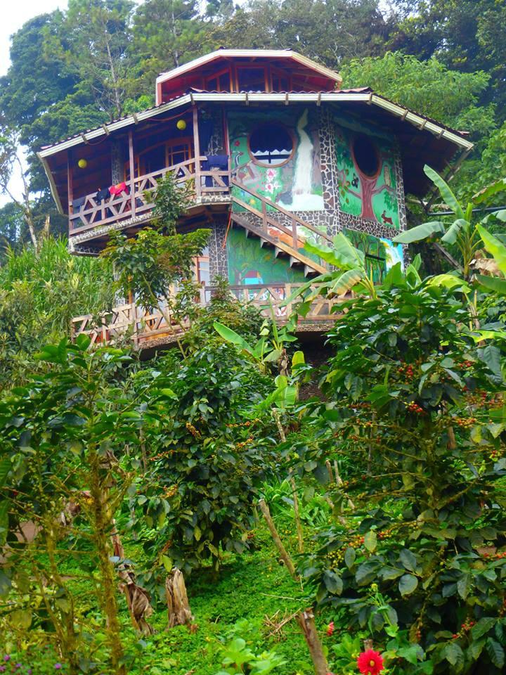 FINCA NEBLINA DEL BOSQUE - Prices & B&B Reviews (Puertas Azules, Nicaragua)