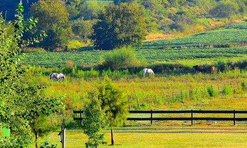 Baradero, Argentina 2024: Best Places to Visit - Tripadvisor