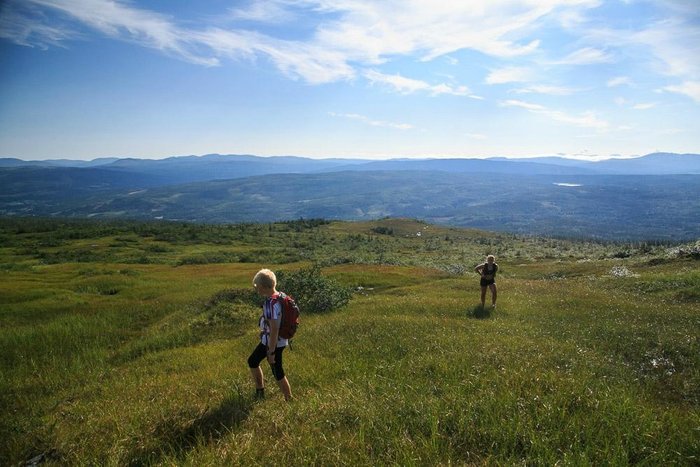 Sommereventyret i Meråker - Fjelltur - Mannfjellet