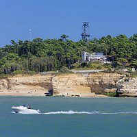 Vue depuis l'estuaire sur le Parc de l'Estuaire, un site des Échappées Nature - ©JP Boulesteix