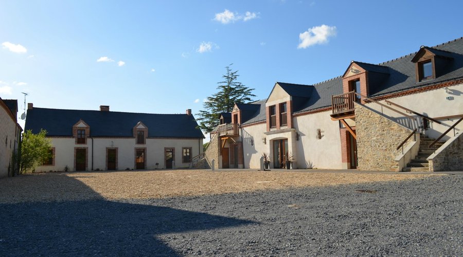 cour