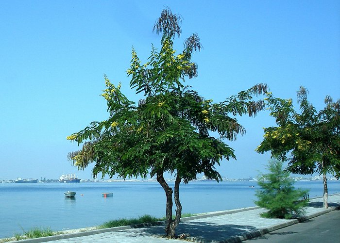 Lobito Bay