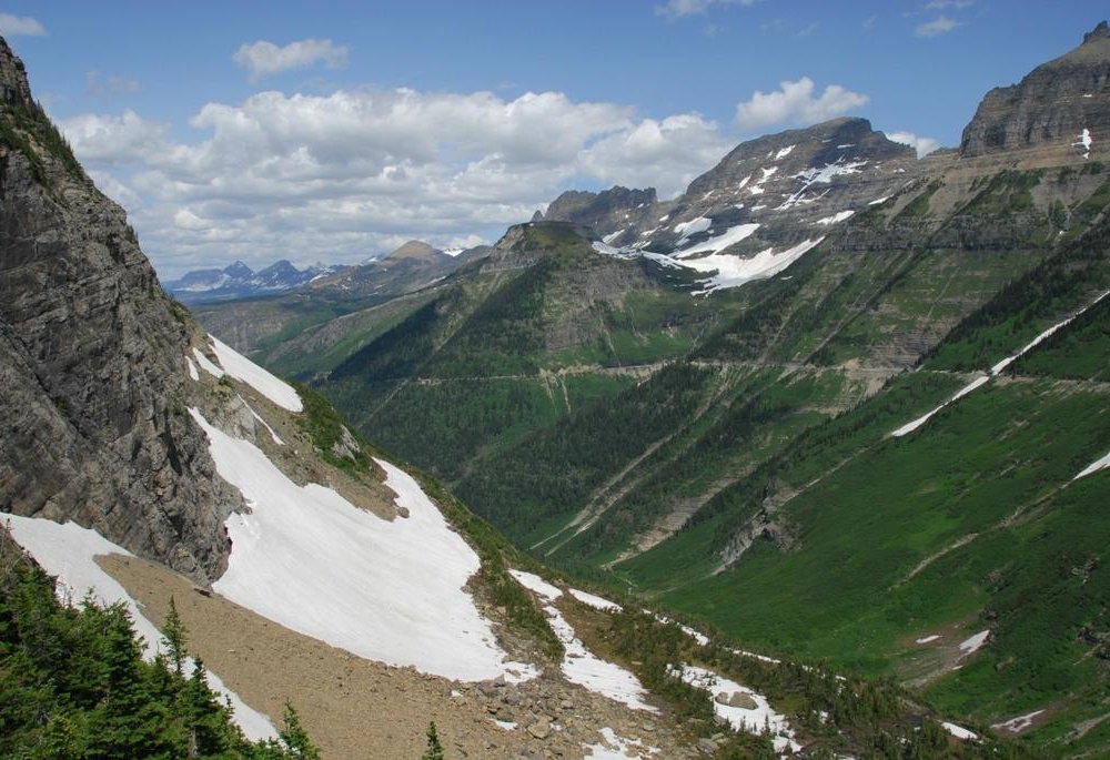 LOGE Glacier by null