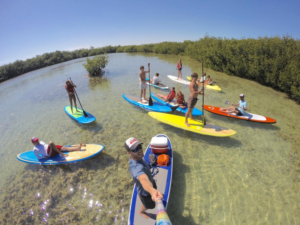 Nomadic Sup Paddleboard Eco Tours - All You Need To Know Before You Go 