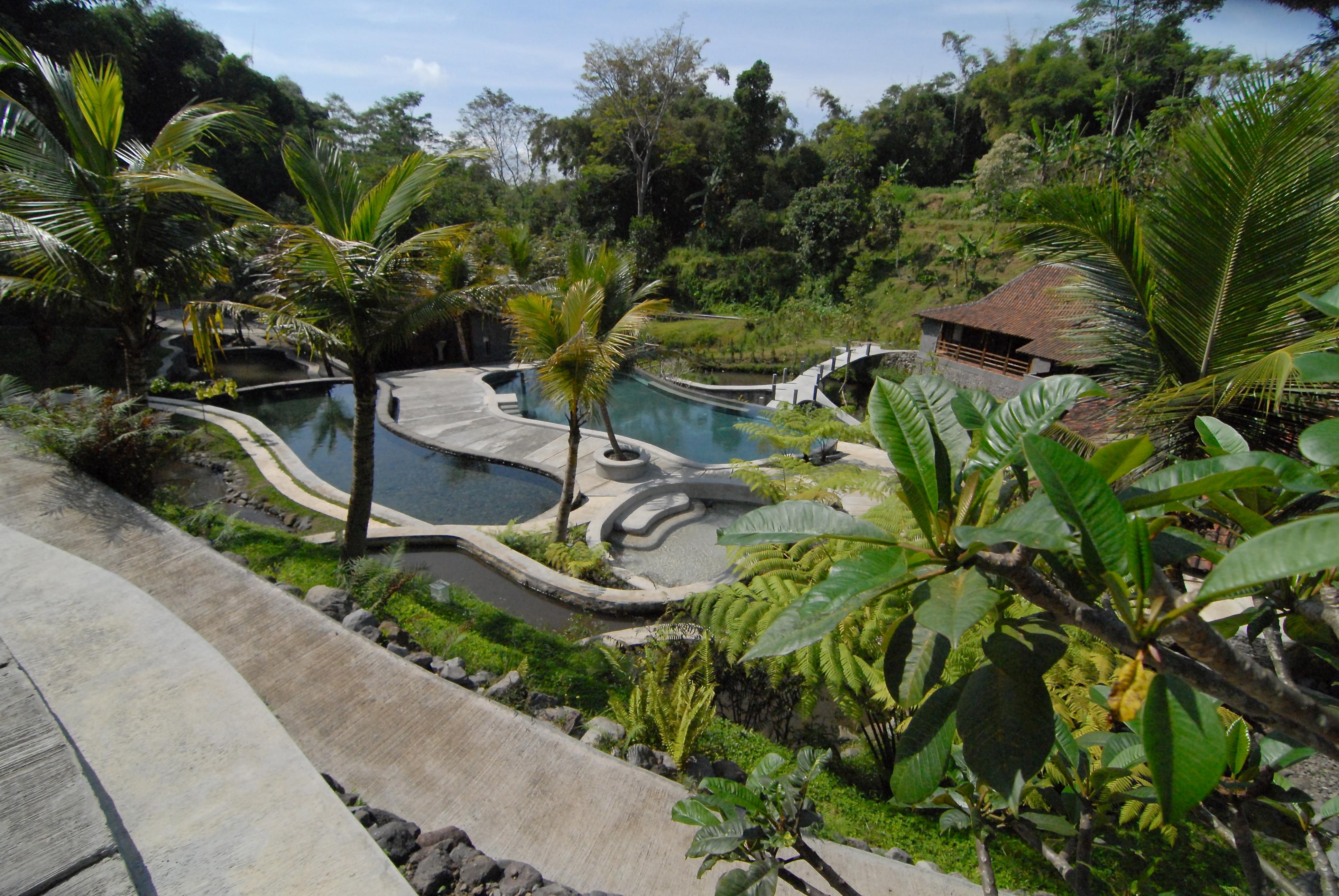 Hotel photo 11 of Kampung Lumbung.