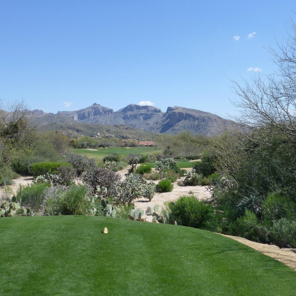 VENTANA CANYON MOUNTAIN COURSE (Tucson) 2022 What to Know BEFORE You Go