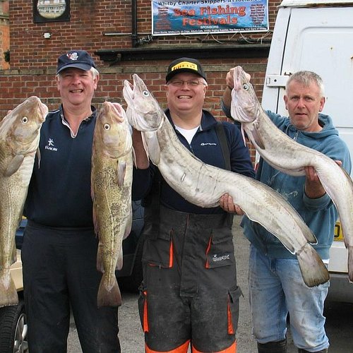 THE 10 BEST Yorkshire Fishing Charters & Tours (Updated 2024)