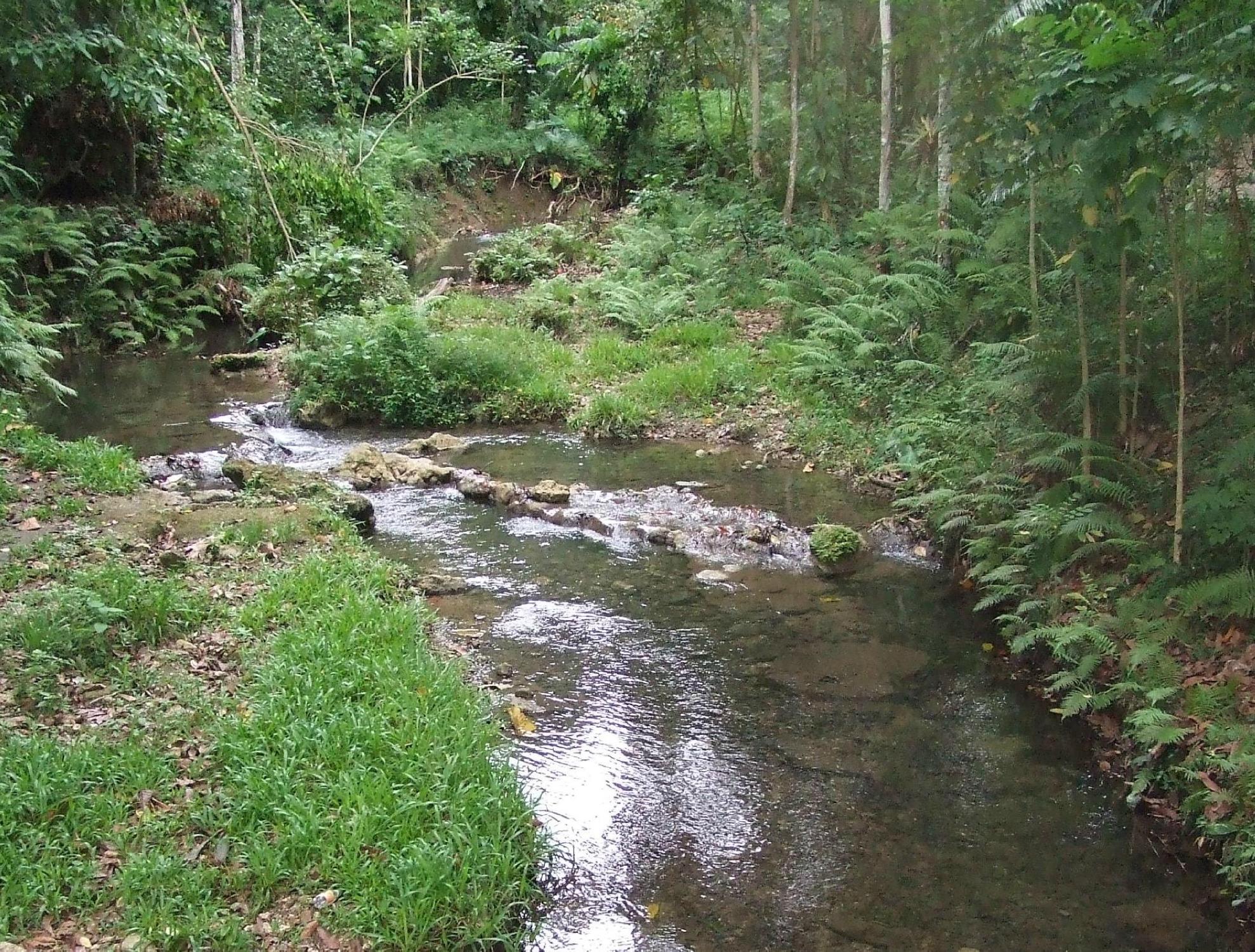 Honiara Solomon Islands 2023 Best Places To Visit Tripadvisor   Honiara Botanical Gardens 