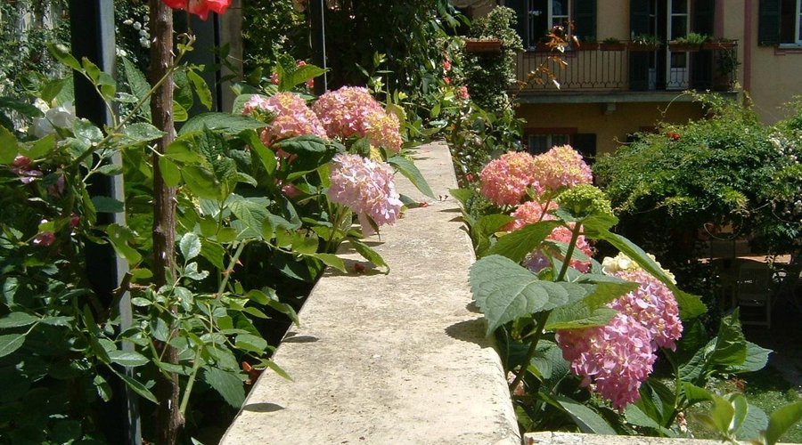 fiori